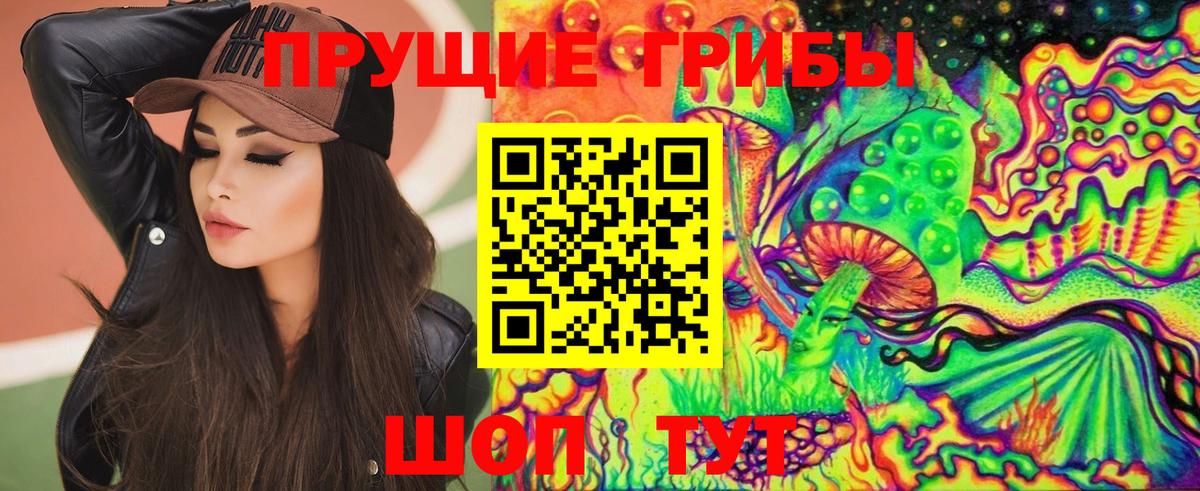 Светлоград  Псилоцибиновые грибы Psilocybine cubensis  Вход с VPN  Галлюциногенные грибы GOLDEN TEACHER 